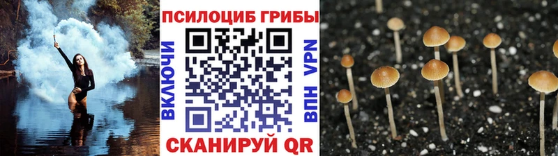 продажа наркотиков  Лихославль  Галлюциногенные грибы Magic Shrooms 